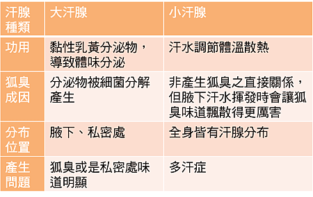  利欣診所 廖苑利醫師 推薦 miraDry價格 效果 微波熱能除汗 狐臭 熱能除汗 腋下除汗 腋下除臭 微波除汗 腋下除毛 多汗症治療 肉毒桿菌 香水美人計畫 