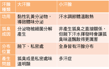 利欣診所 廖苑利醫師 miraDry價格 效果 微波熱能除汗 狐臭 熱能除汗 腋下除汗 腋下除臭 微波除汗 腋下除毛 多汗症治療 miraDry微舒淨 -002