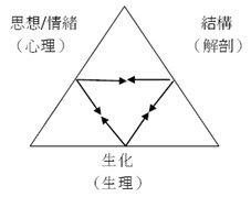 快照-健康三角