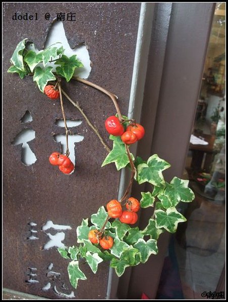 20091121 117.jpg