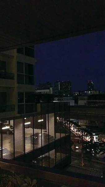 IMAG4516