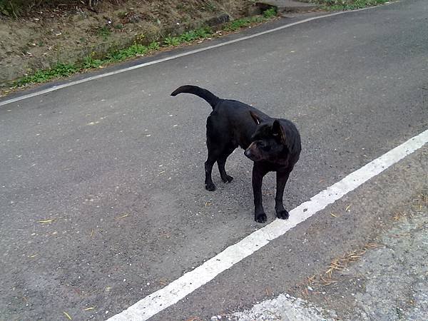 201502011715.jpg