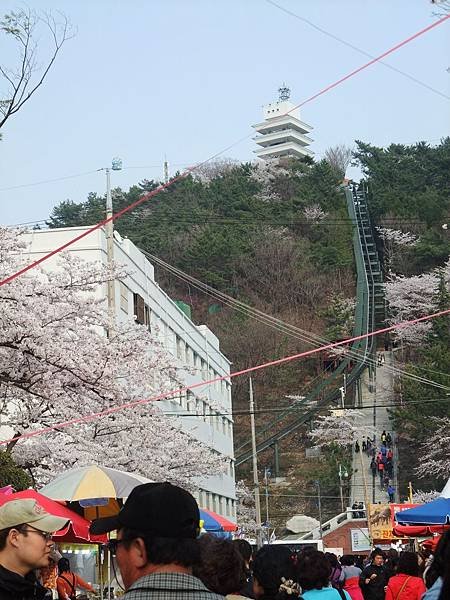 公園