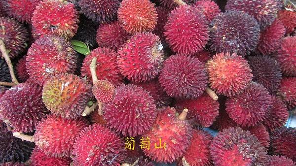 水果2.jpg