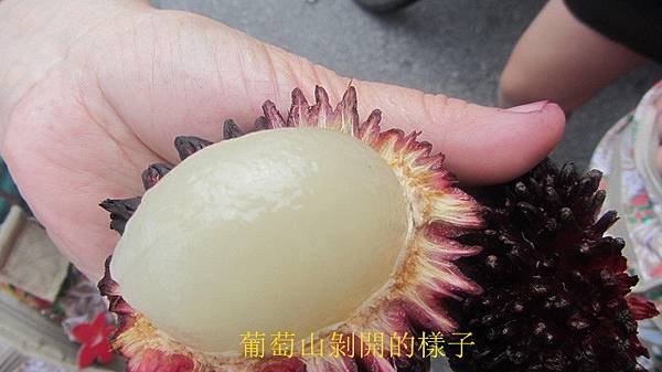 IMG_3985_副本.jpg