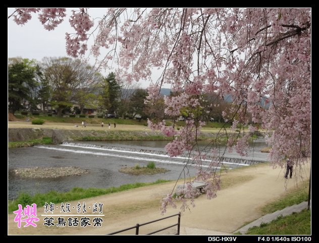 DSC08466.JPG