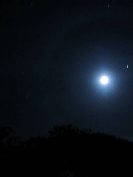 DSCN5429