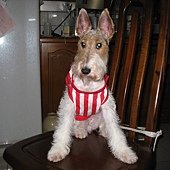 IMG_7173.JPG