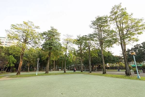 興富發大悅