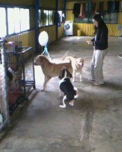 IMG0258A.jpg