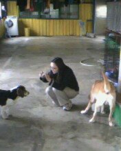 IMG0260A.jpg