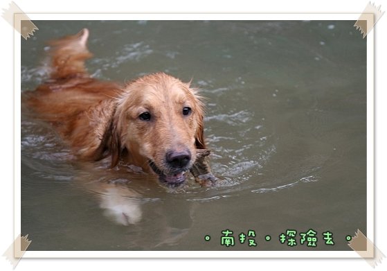 IMG_8910.jpg
