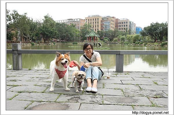 nEO_IMG_IMG_8237