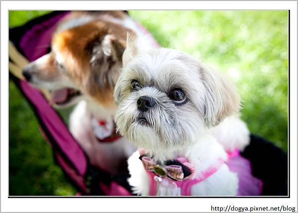 nEO_IMG_Kyle&amp;Dogya&amp;Nana&amp;Sasa (78 - 126)