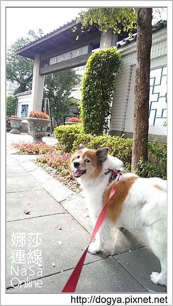 逸仙公園_台北_一日遊_近郊_中山區__遛狗_娜莎連線_79