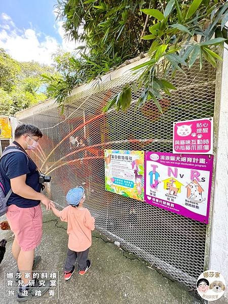 娜莎家的斜槓育兒研究室_旅遊踏青_桃園親子景點》富田香草休閒農場~羊駝、馬、驢子、羊、兔子、天竺鼠、雞、火雞、鴨、鵝~富田香草休閒農場,親子農場,動物農場,動物,親子動物,親子景點,動物景點,桃園,大溪,大溪農場,桃園親子景點,桃園動物農場,大溪動物農場,大溪親子景點,富田農場,羊駝,馬,羊,驢子,小動物12.jpg