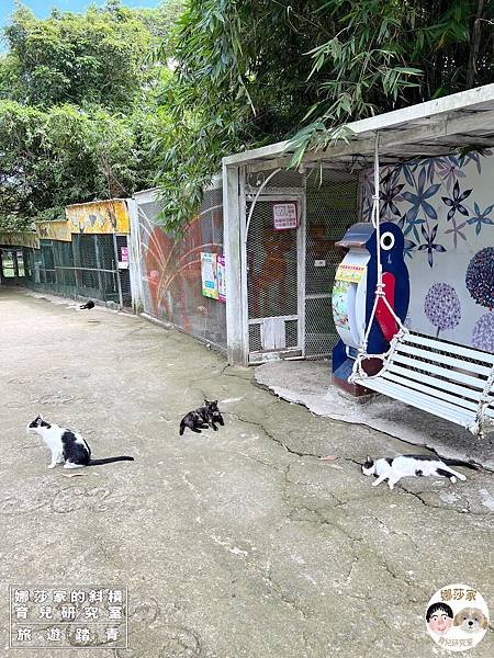 娜莎家的斜槓育兒研究室_旅遊踏青_桃園親子景點》富田香草休閒農場~羊駝、馬、驢子、羊、兔子、天竺鼠、雞、火雞、鴨、鵝~富田香草休閒農場,親子農場,動物農場,動物,親子動物,親子景點,動物景點,桃園,大溪,大溪農場,桃園親子景點,桃園動物農場,大溪動物農場,大溪親子景點,富田農場,羊駝,馬,羊,驢子,小動物23.jpg