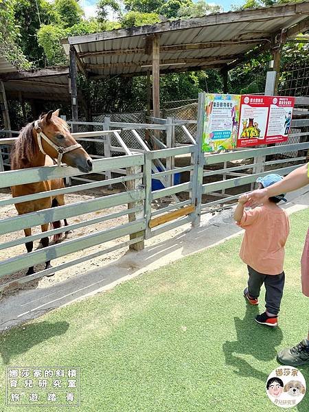 娜莎家的斜槓育兒研究室_旅遊踏青_桃園親子景點》富田香草休閒農場~羊駝、馬、驢子、羊、兔子、天竺鼠、雞、火雞、鴨、鵝~富田香草休閒農場,親子農場,動物農場,動物,親子動物,親子景點,動物景點,桃園,大溪,大溪農場,桃園親子景點,桃園動物農場,大溪動物農場,大溪親子景點,富田農場,羊駝,馬,羊,驢子,小動物29.jpg