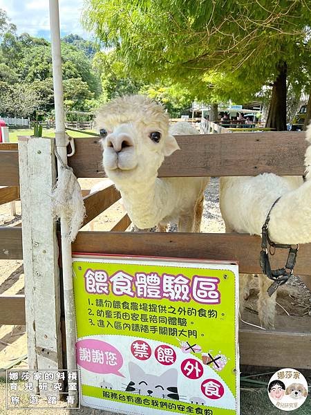 娜莎家的斜槓育兒研究室_旅遊踏青_桃園親子景點》富田香草休閒農場~羊駝、馬、驢子、羊、兔子、天竺鼠、雞、火雞、鴨、鵝~富田香草休閒農場,親子農場,動物農場,動物,親子動物,親子景點,動物景點,桃園,大溪,大溪農場,桃園親子景點,桃園動物農場,大溪動物農場,大溪親子景點,富田農場,羊駝,馬,羊,驢子,小動物47.jpg