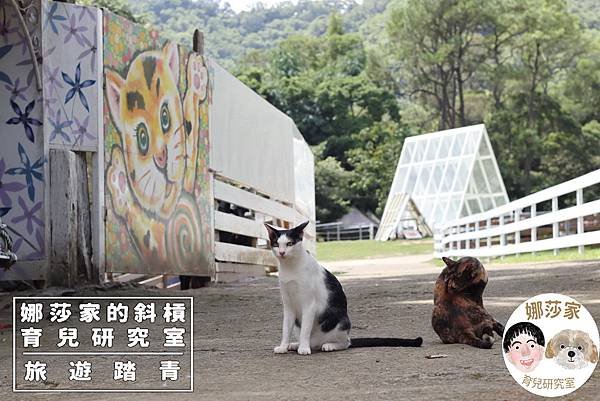 娜莎家的斜槓育兒研究室_旅遊踏青_桃園親子景點》富田香草休閒農場~羊駝、馬、驢子、羊、兔子、天竺鼠、雞、火雞、鴨、鵝~富田香草休閒農場,親子農場,動物農場,動物,親子動物,親子景點,動物景點,桃園,大溪,大溪農場,桃園親子景點,桃園動物農場,大溪動物農場,大溪親子景點,富田農場,羊駝,馬,羊,驢子,小動物53.jpg