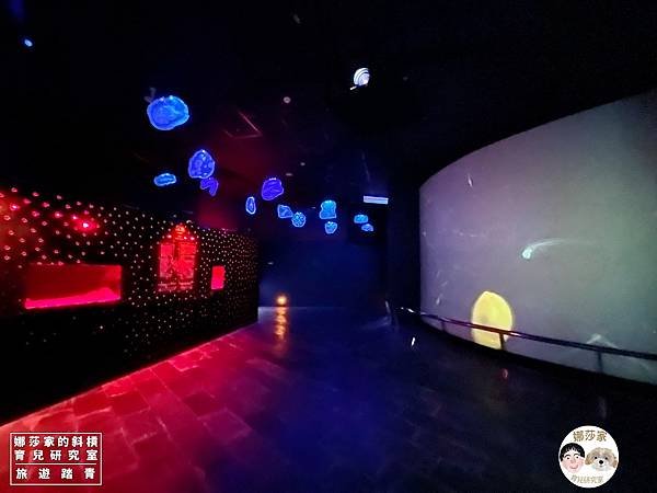 娜莎家的斜槓育兒研究室_旅遊踏青_屏東親子旅遊》國立海洋生物博物館-來看好多魚、魟魚、鯊魚、海豹、企鵝、還有好多的海洋動物~國立海洋生物博物館,海生館,屏東,屏東海生館,博物館,企鵝,魚,海豹,水母,魟魚,鯊魚,免費停車,屏東海生,旅遊,觀光,親子室內景點,親子旅遊,雨備方案,親子84.jpg