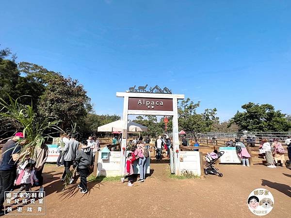 娜莎家的斜槓育兒研究室_旅遊踏青_桃園親子旅遊》埔心牧場~擠牛奶、餵動物、羊駝、袋鼠、烤肉、野餐~埔心牧場,埔心,牧場,農場,桃園旅遊,桃園,楊梅旅遊,親子旅遊,寵物友善,牛奶,牛,羊,親子農場,親子寵物,親子牧場,親子農場,露營,爬蟲,門票,動物60.jpg