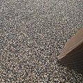 IMG_3562.JPG