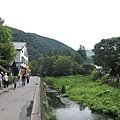 IMG_3584.JPG