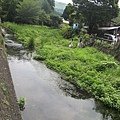 IMG_3594.JPG