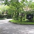 IMG_3604.JPG