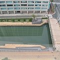 IMG_3877.JPG