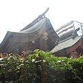 IMG_3879.JPG