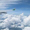 IMG_3911.JPG