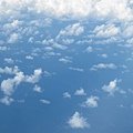 IMG_3924.JPG
