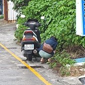 IMG_3944.JPG