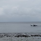 IMG_3952.JPG