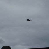 IMG_3955.JPG