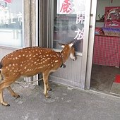 IMG_3957.JPG