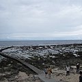 IMG_3965.JPG