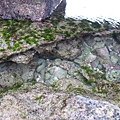 IMG_3970.JPG