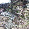 IMG_3971.JPG