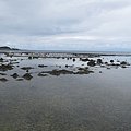 IMG_3973.JPG