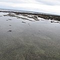IMG_3974.JPG