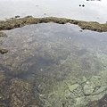 IMG_3976.JPG