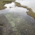 IMG_3987.JPG