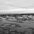 IMG_3989.JPG