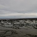 IMG_3990.JPG