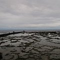 IMG_3991.JPG