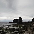 IMG_4000.JPG