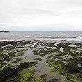 IMG_4003.JPG